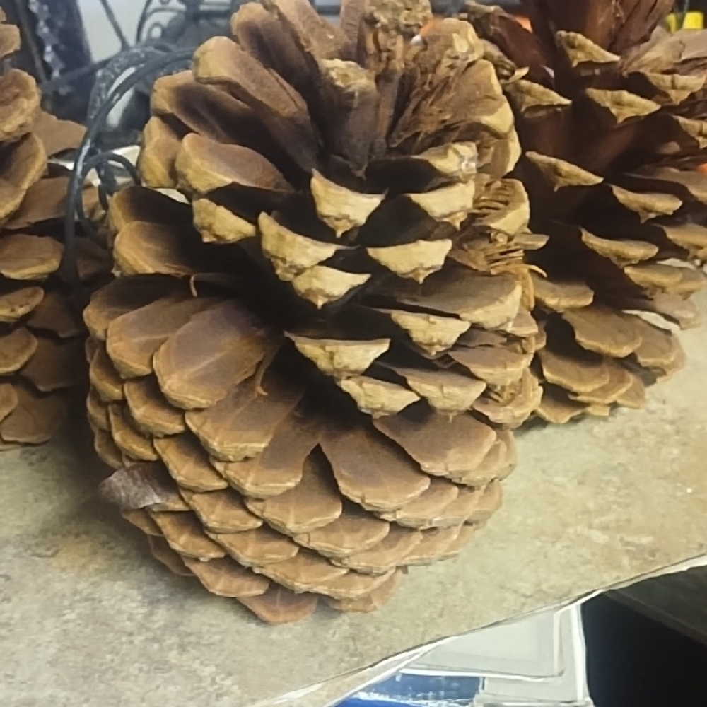 #043 Set 2 Decorative Pine Cones Great For Holiday Decor Set Of 3